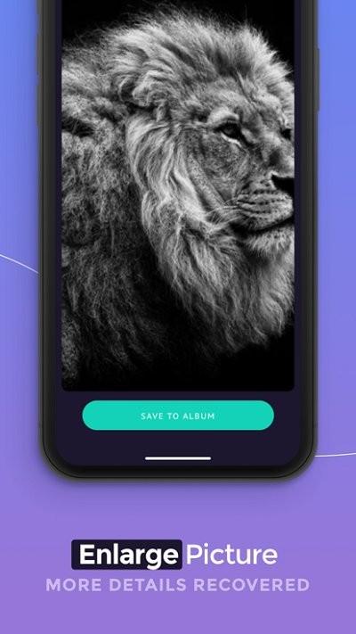 aiimageenlarger软件(图片放大专业版)下载,aiimageenlarger,图片修复app