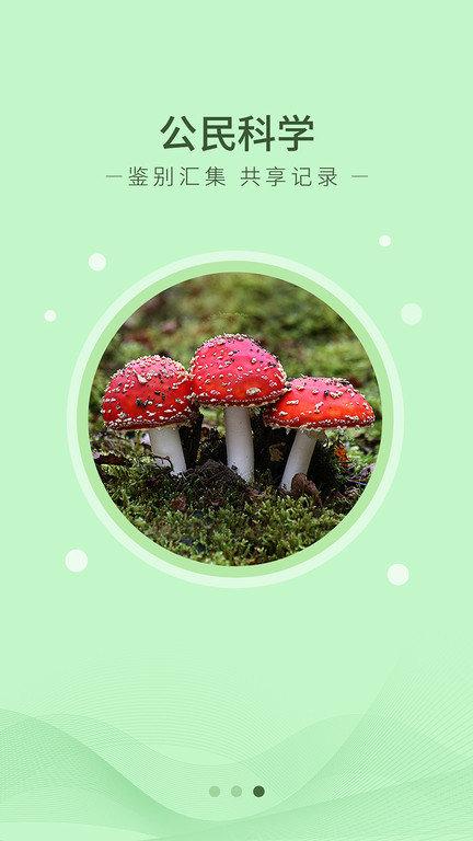 生物记官方版下载,生物记,生物识别app,昆虫app